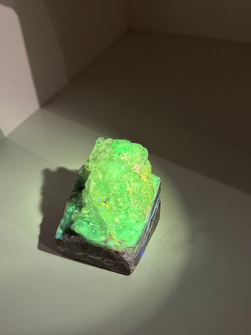 Hyalite Opal | Mexico | UV Reactive Collector Mineral Specimen