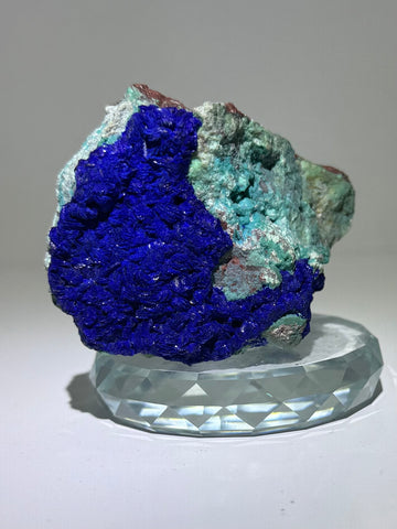 Azurite with Malachite – Morenci Mine, Arizona (Collector Specimen)
